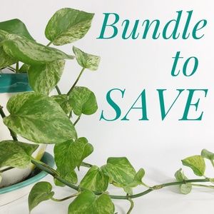 Bundle to Save 10%
